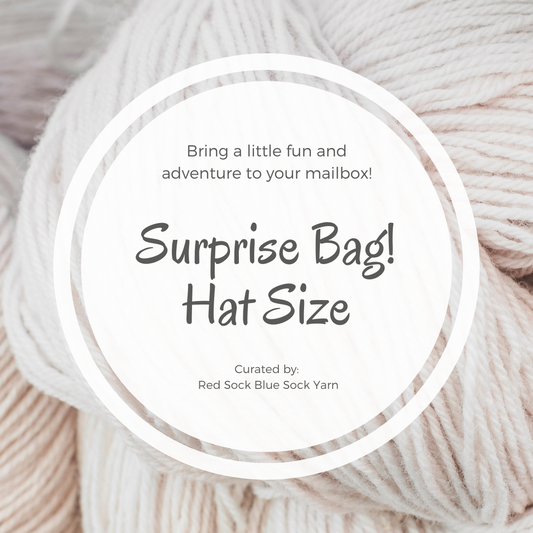 Surprise Bag! - Hat Size - Red Sock Blue Sock Yarn Co